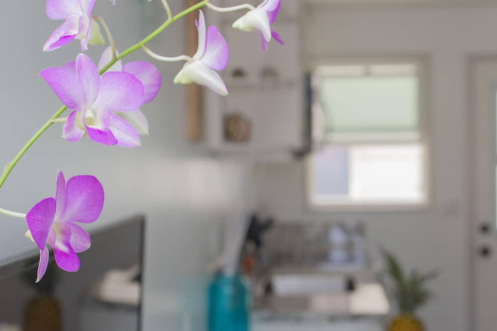 Photo of Kitchen in Coconut Grove