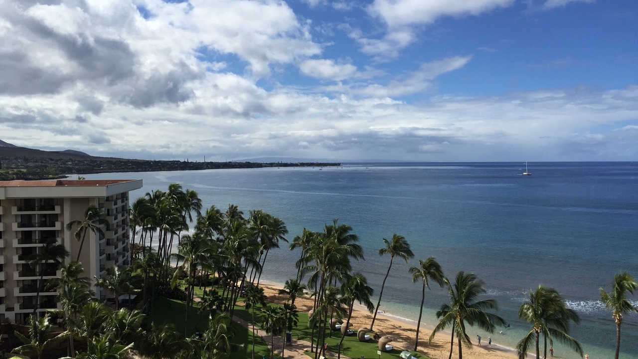 Photo of Others in Kaanapali