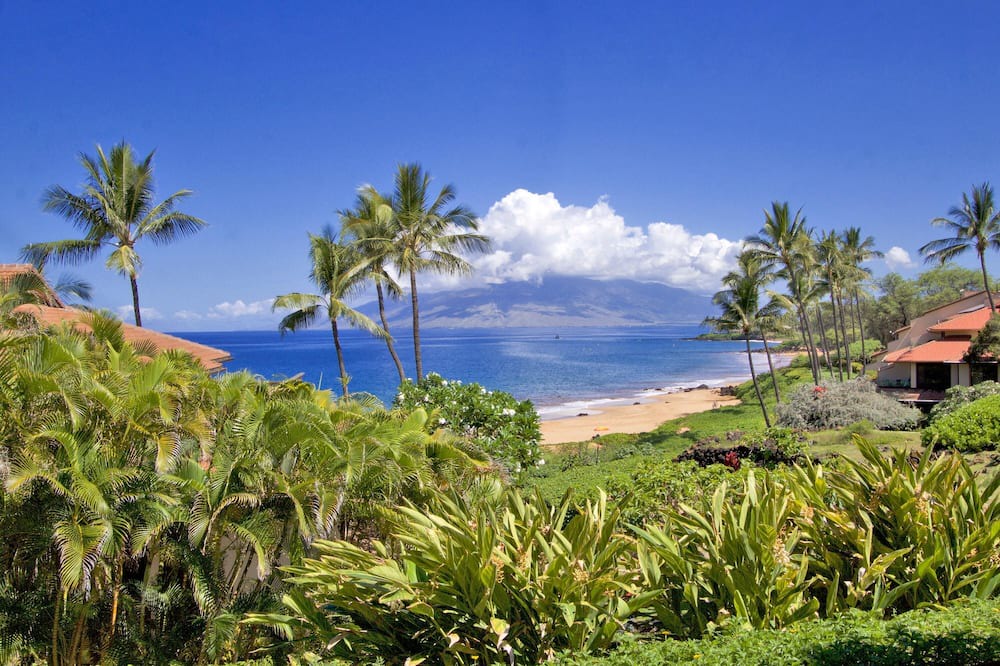 Photo of Outdoor in Wailea