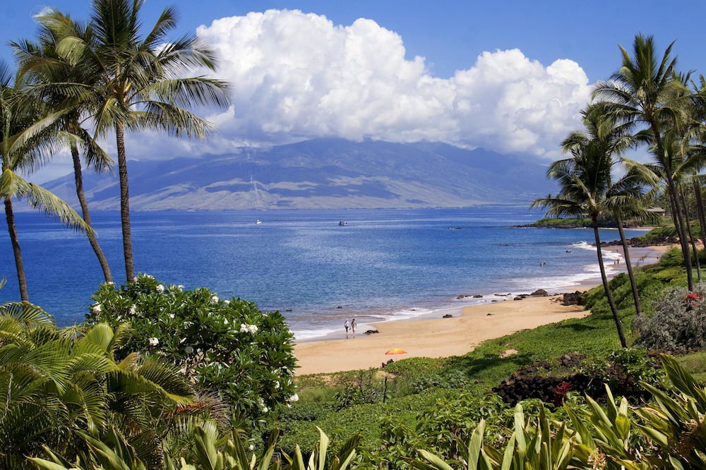 Photo of Others in Wailea