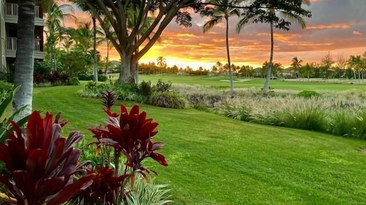 Photo of Others in Waikoloa
