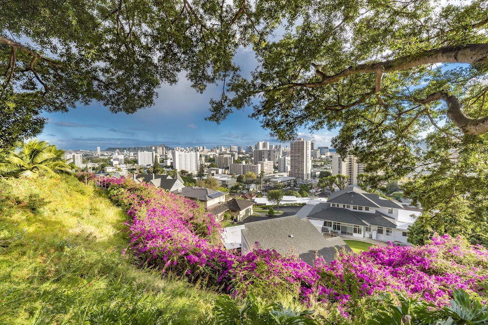 Photo of Bedroom in Makiki