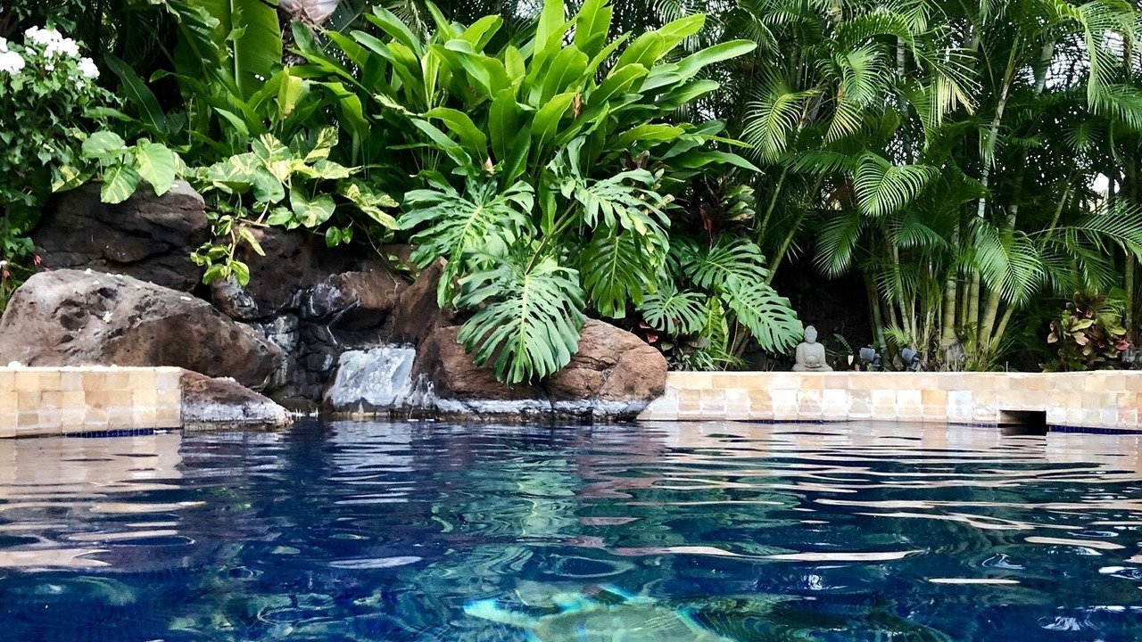 Photo of Outdoor in 'Aina Haina