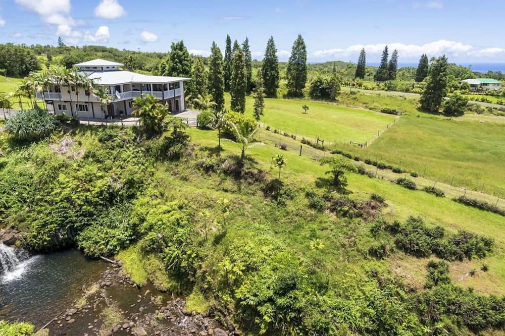 Photo of Others in Hilo