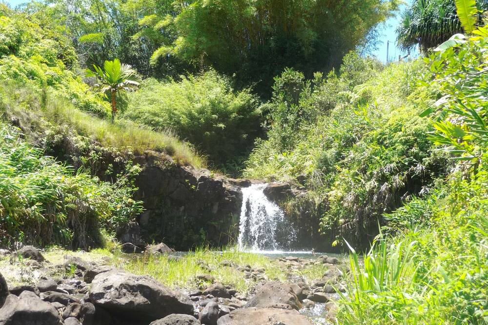 Photo of Others in Hilo