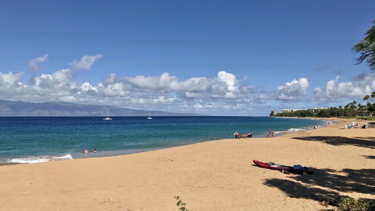 Photo of Others in Lahaina