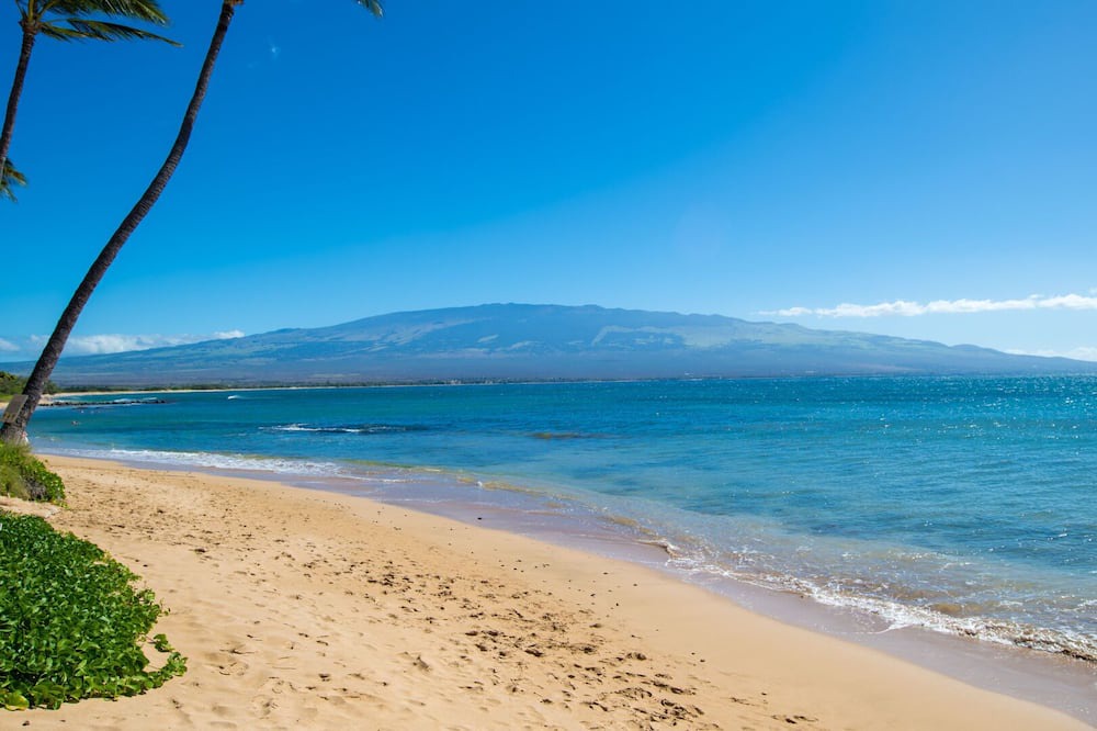 Photo of Others in Maalaea