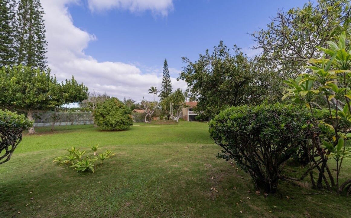 Photo of Others in Kahuku