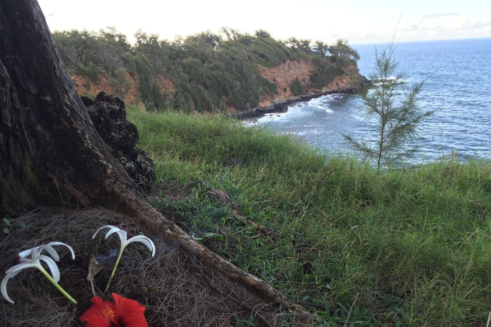 Photo of Outdoor in Makapala