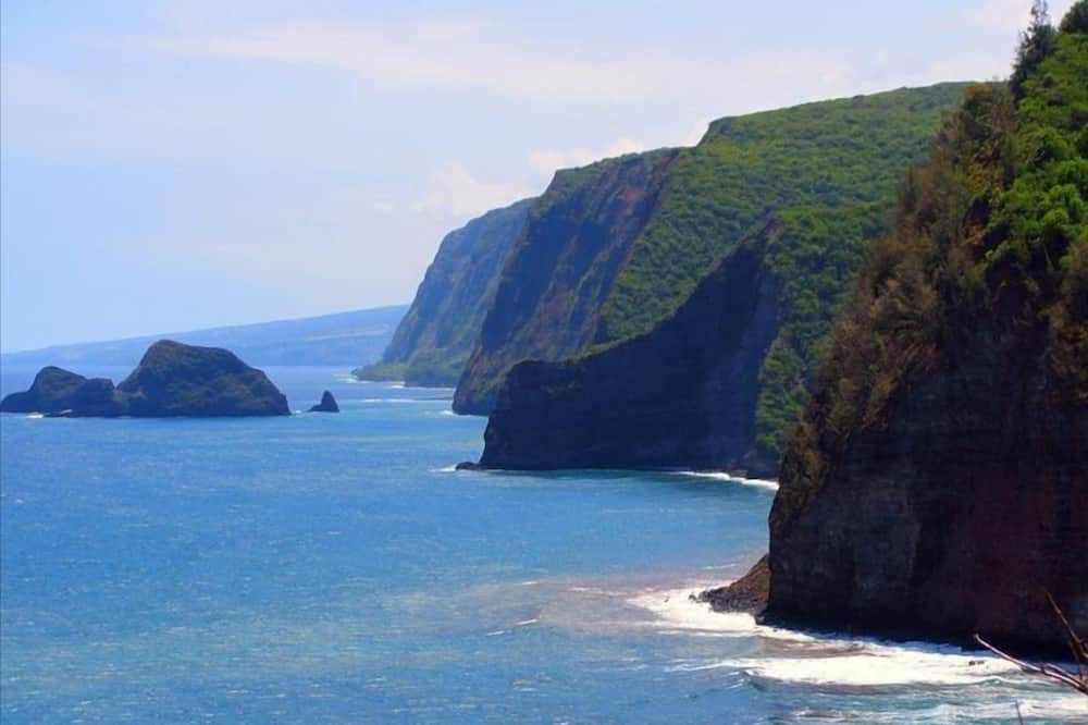 Photo of Others in Makapala