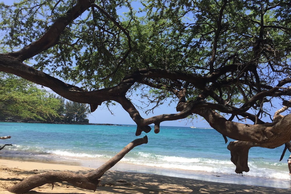Photo of Others in Makapala