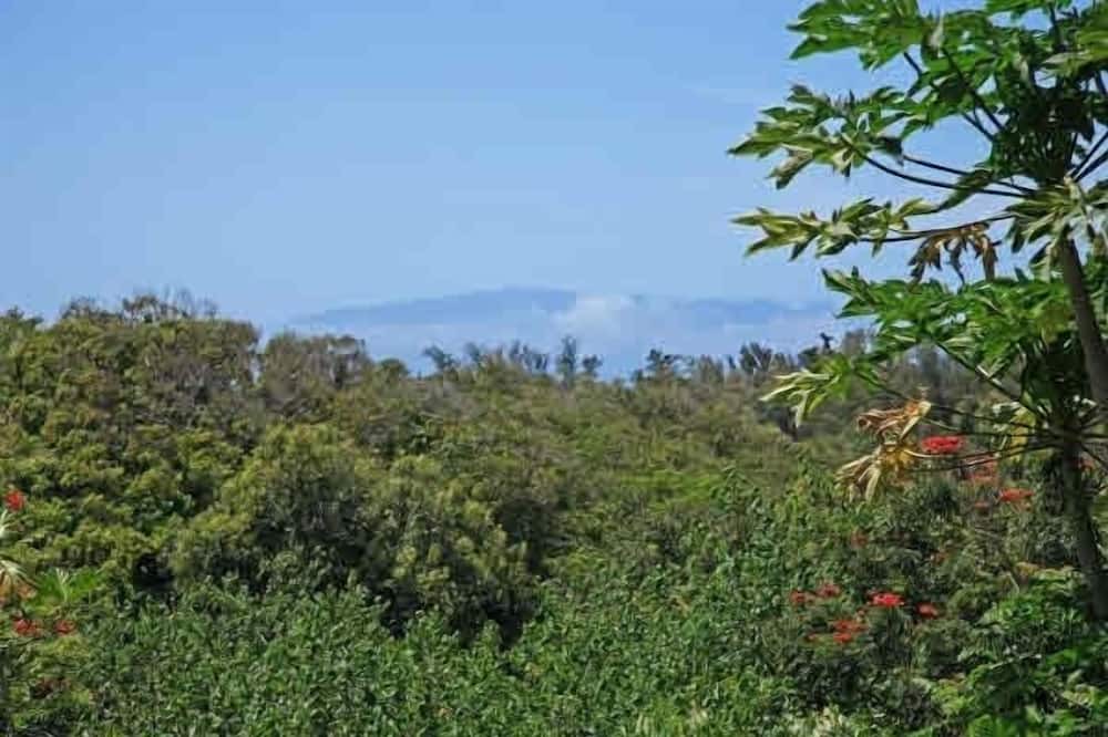 Photo of Others in Makapala