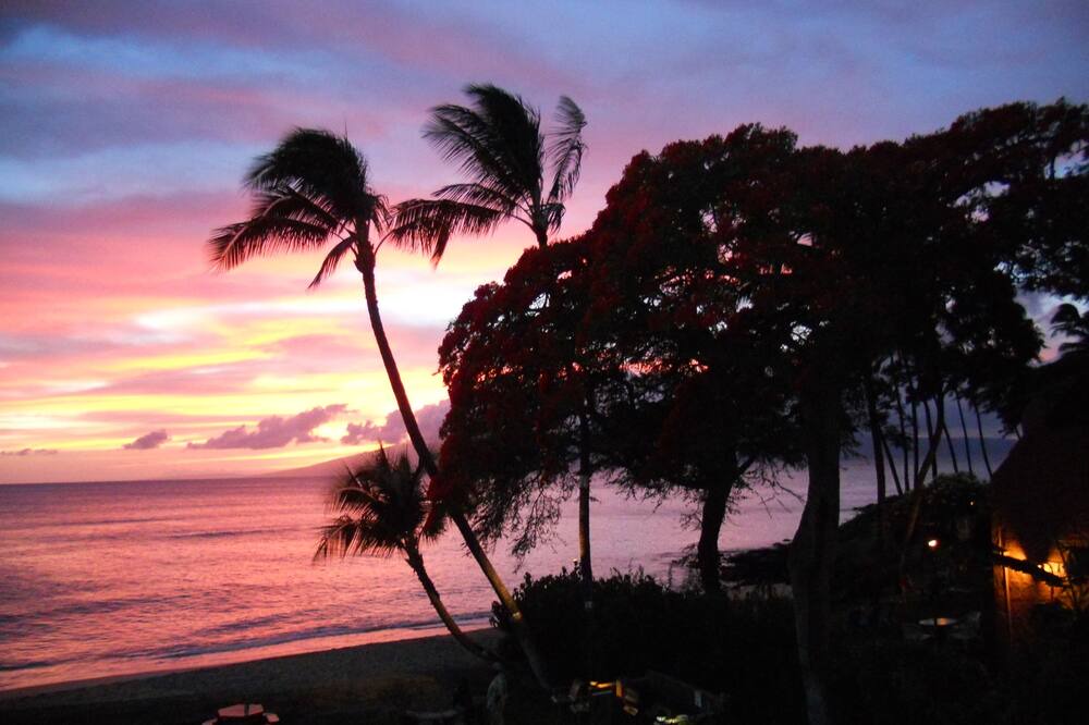 Photo of Outdoor in Honokowai