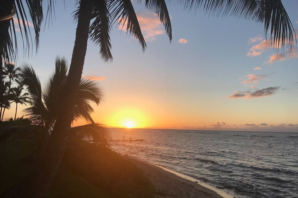 Photo of Others in Mokuleia