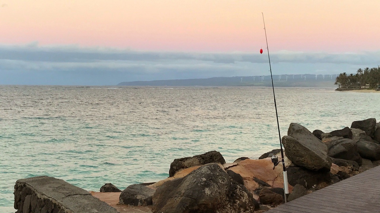 Photo of Outdoor in Waialua