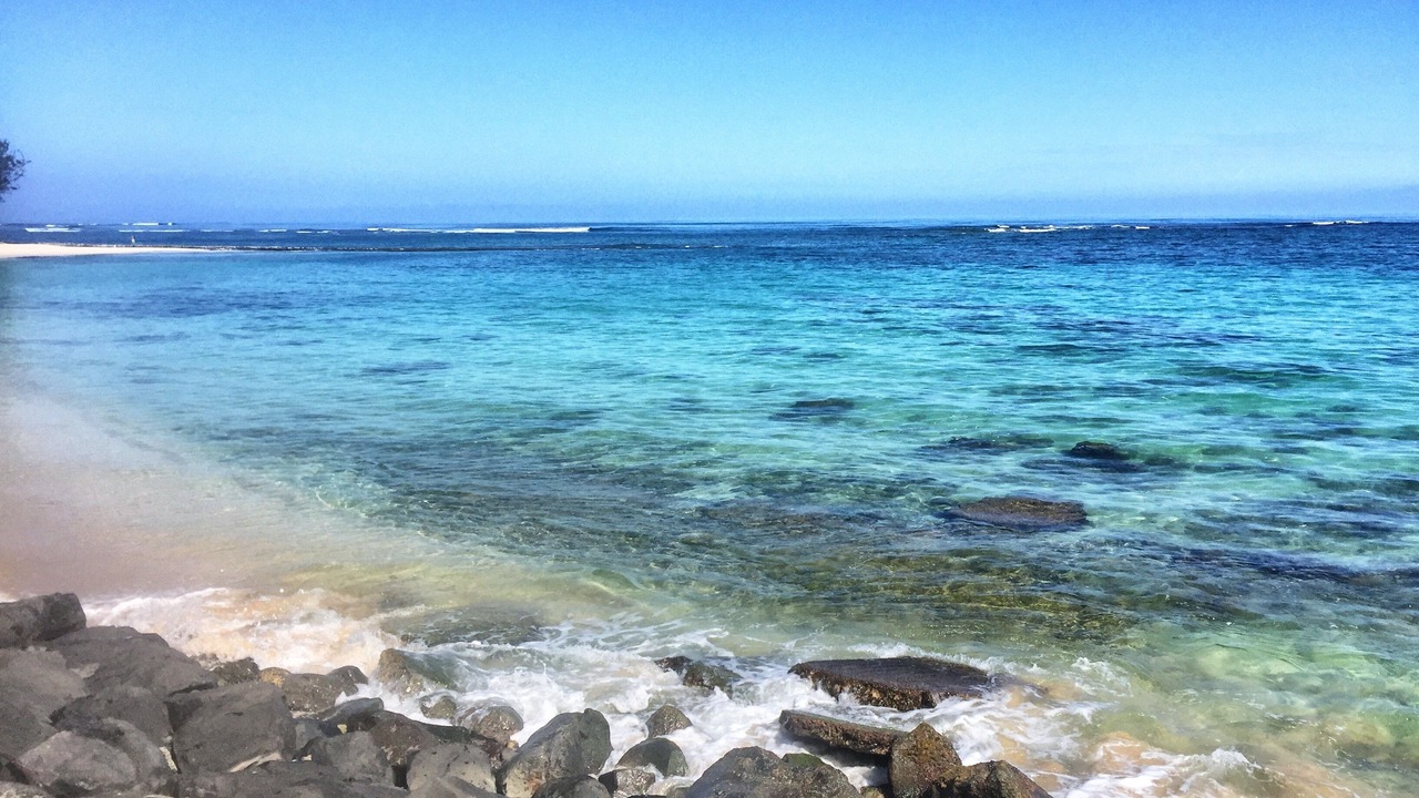 Photo of Others in Waialua