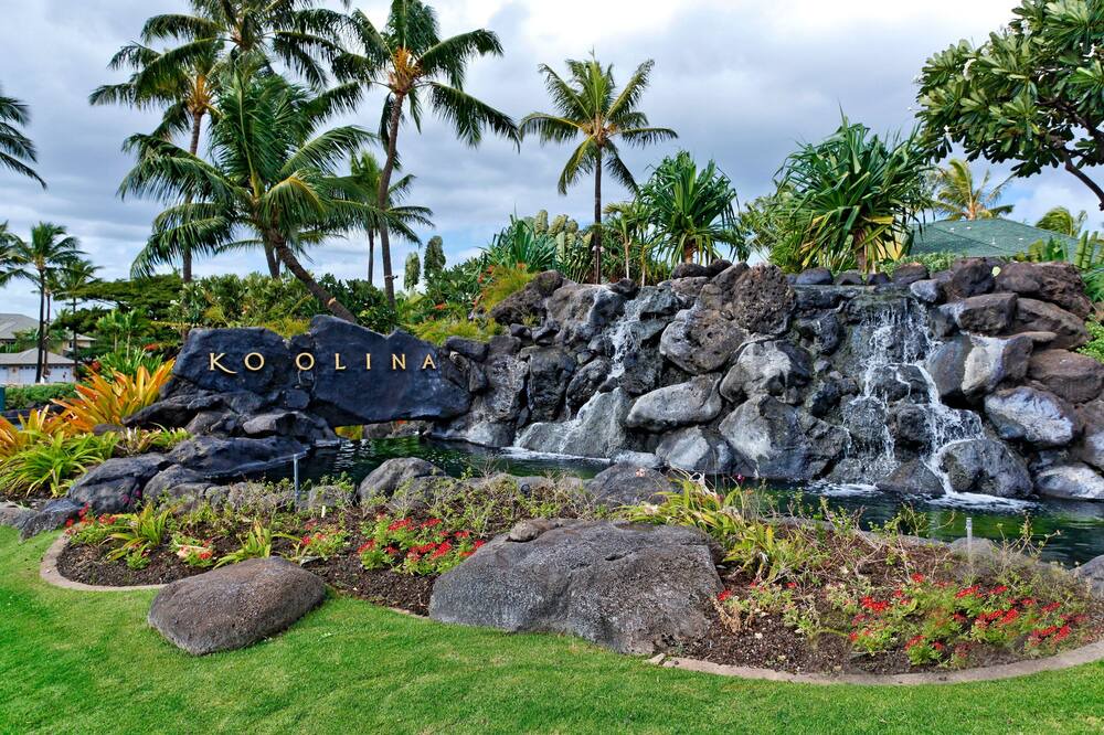Photo of Others in Kapolei