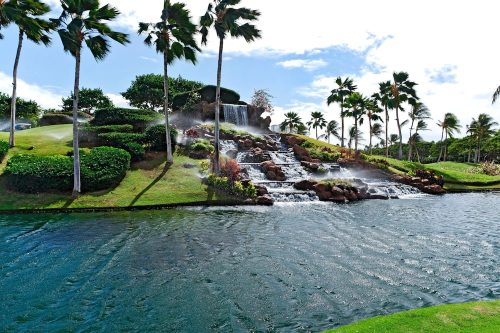 Photo of Others in Kapolei