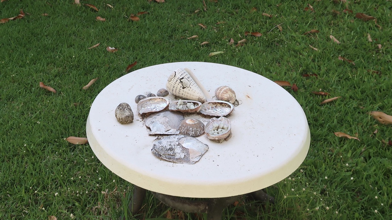 Photo of Outdoor in Kapaau