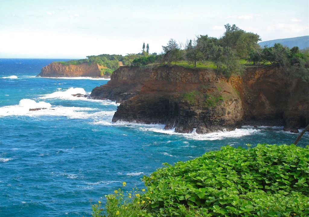 Photo of Others in Kapaau