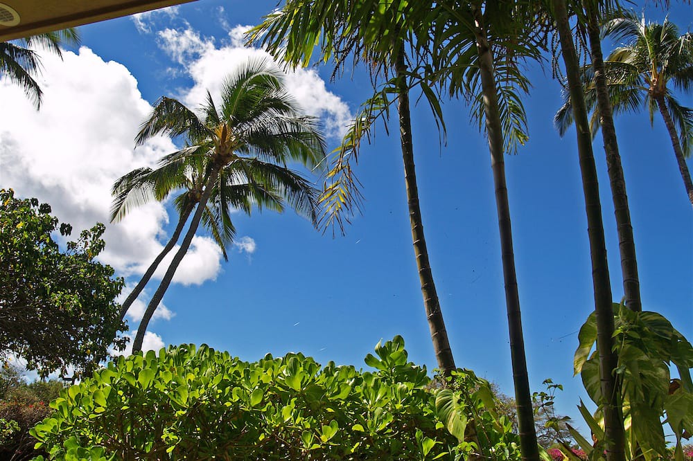 Photo of Outdoor in Maunaloa