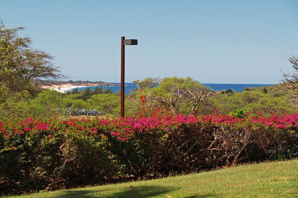 Photo of Outdoor in Maunaloa