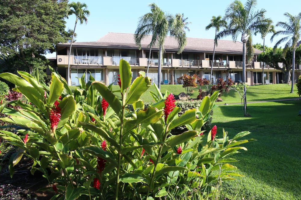 Photo of Outdoor in Kaanapali