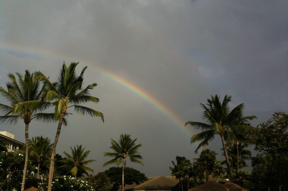 Photo of Others in Kaanapali