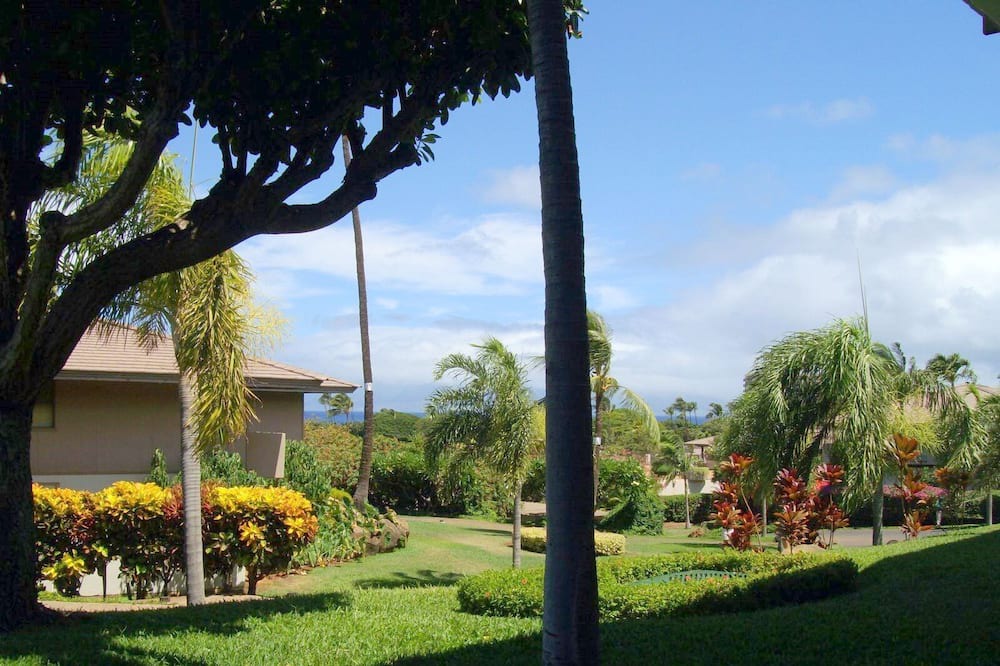 Photo of Others in Kaanapali