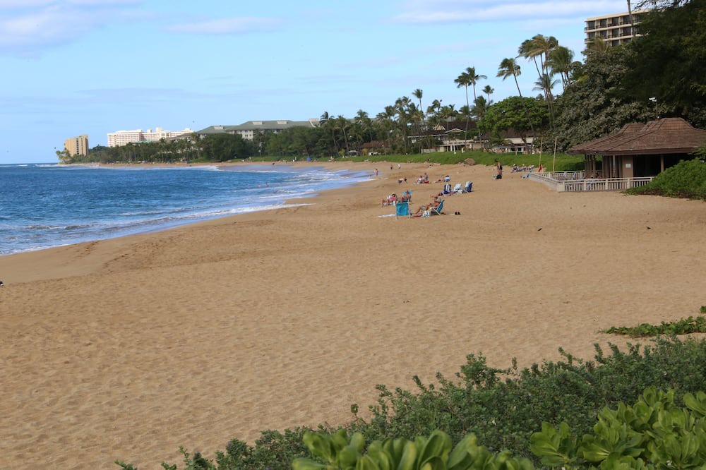 Photo of Others in Kaanapali