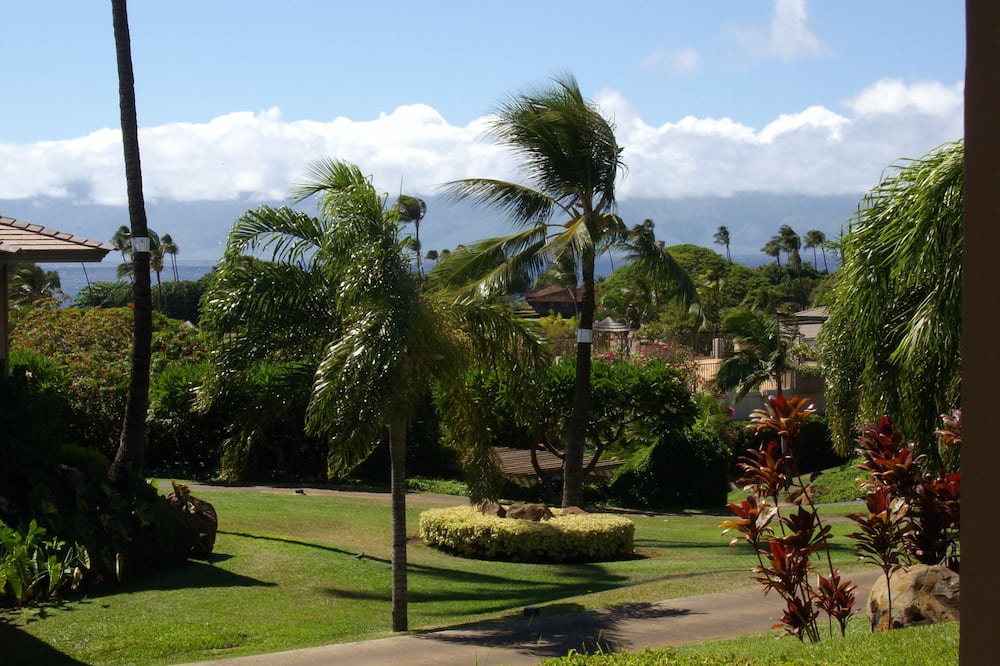 Photo of Outdoor in Kaanapali