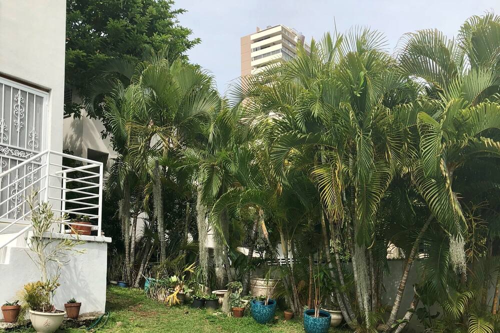 Photo of Outdoor in Tantalus