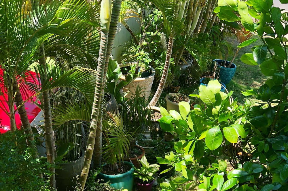 Photo of Outdoor in Tantalus