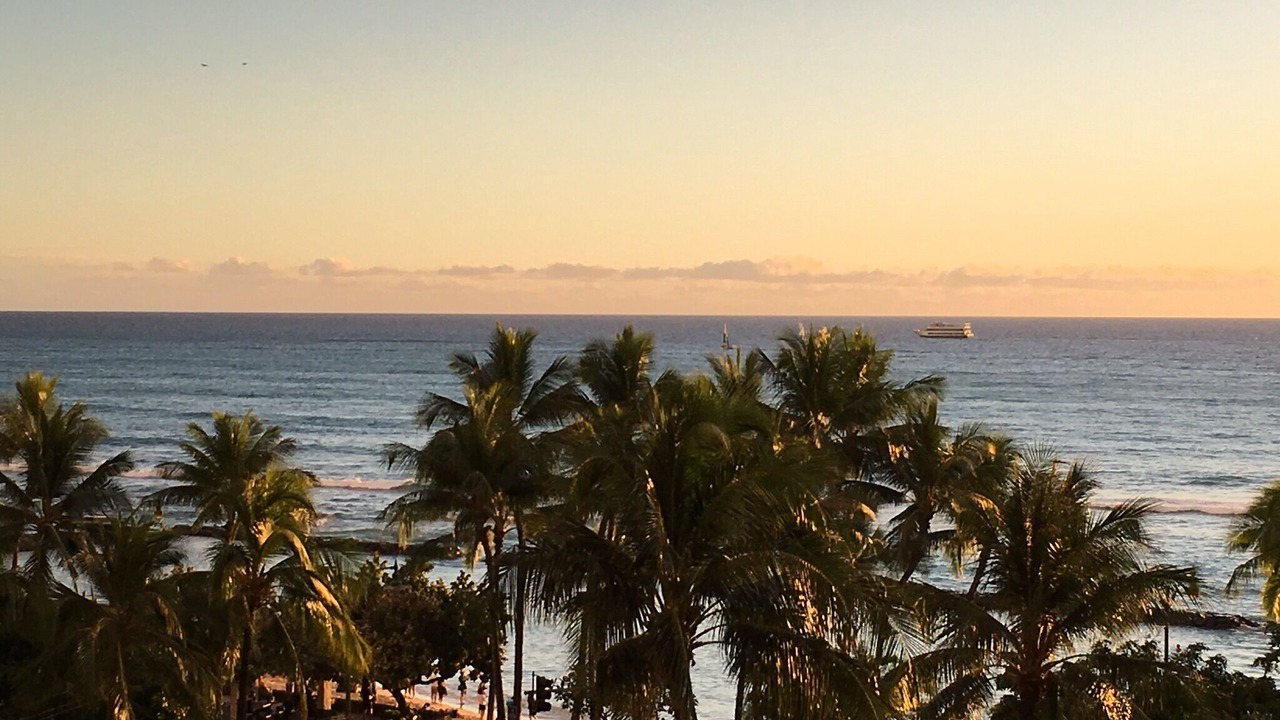 Photo of Others in Waikiki