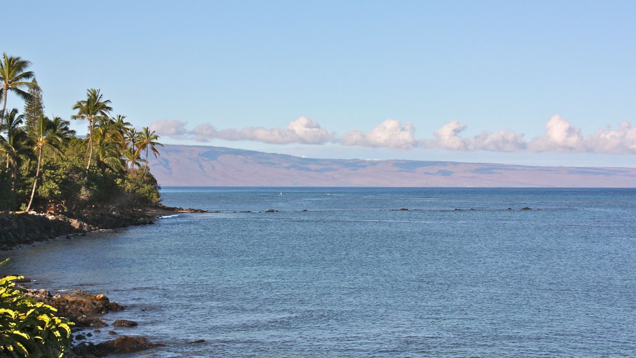 Photo of Others in Kahana