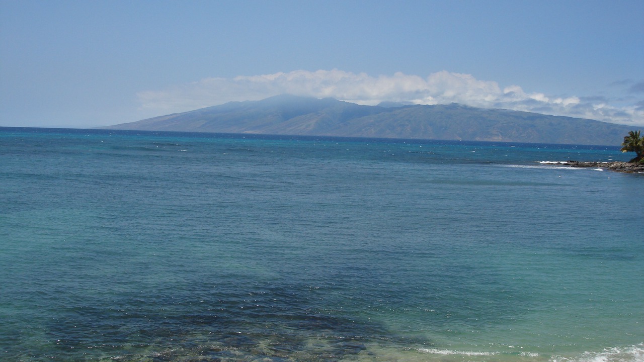 Photo of Others in Kahana