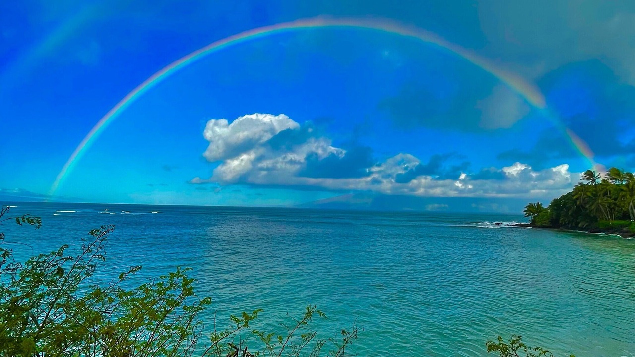 Photo of Outdoor in Kahana