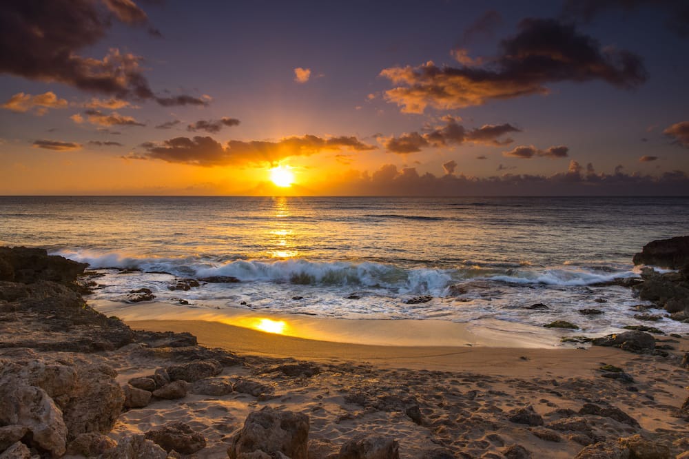 Photo of Others in Ko Olina