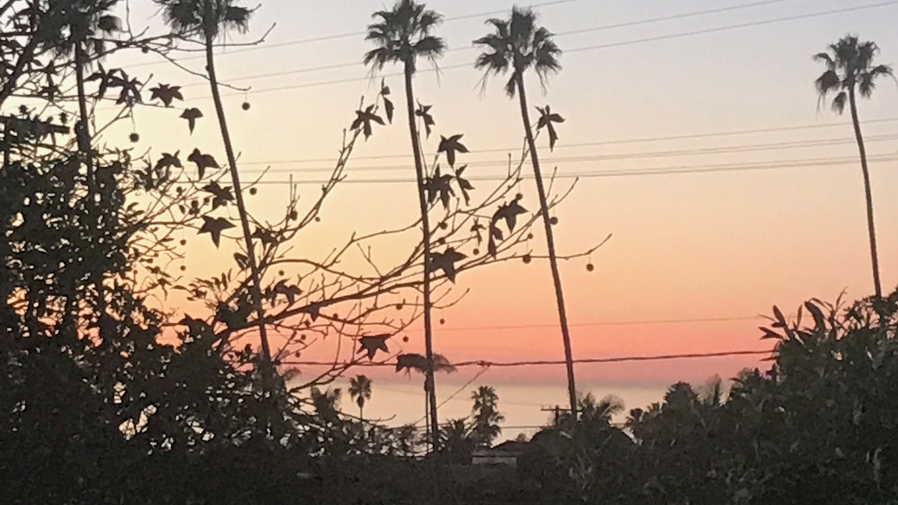 Photo of Others in La Jolla