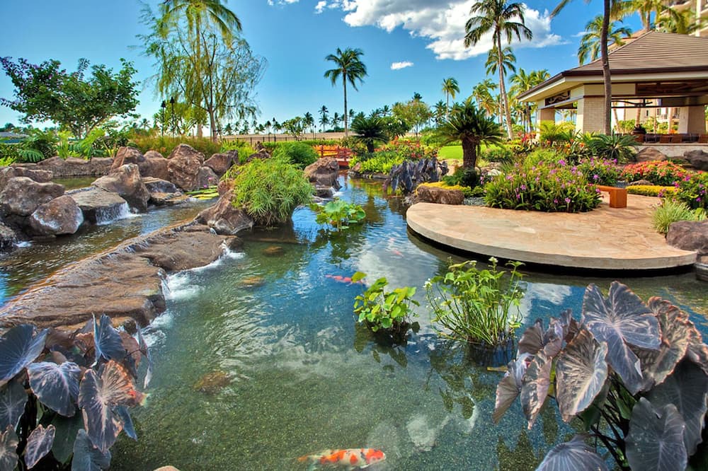 Photo of Others in Ko Olina