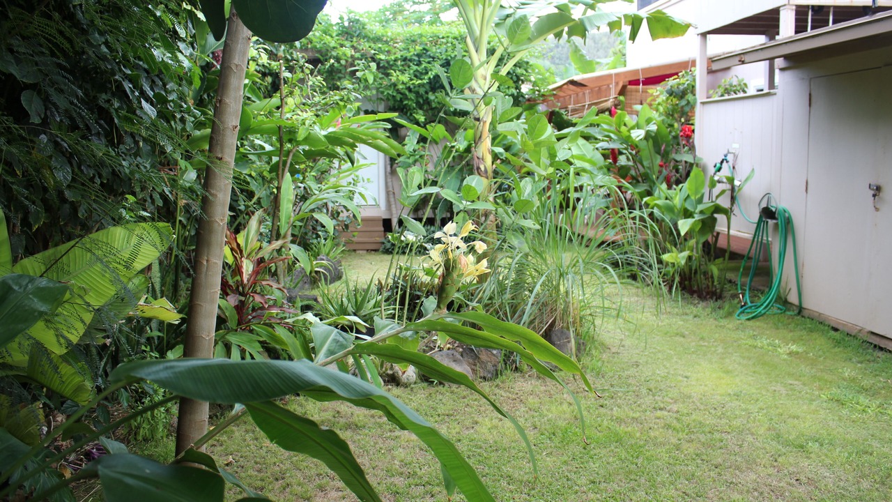 Photo of Outdoor in Pupukea