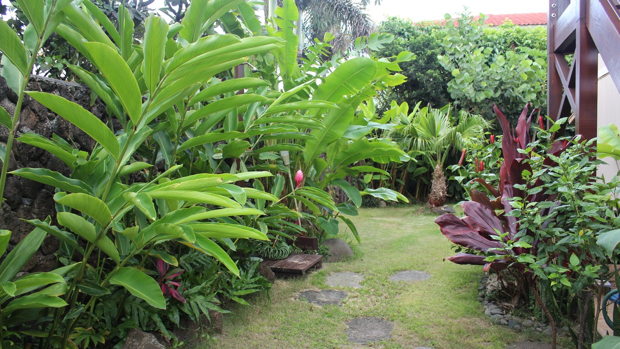 Photo of Outdoor in Pupukea