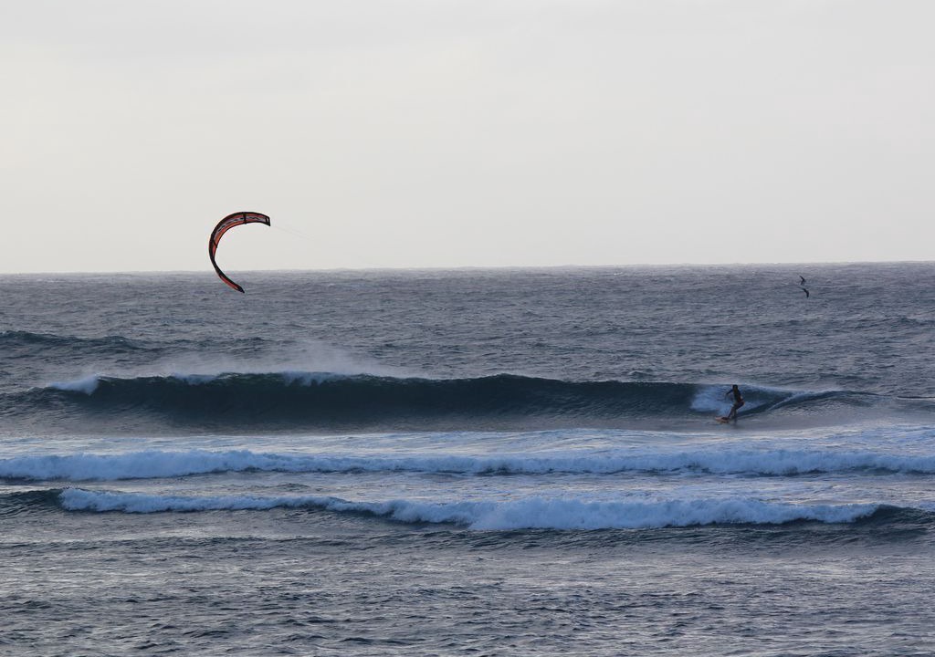 Photo of Others in Pupukea