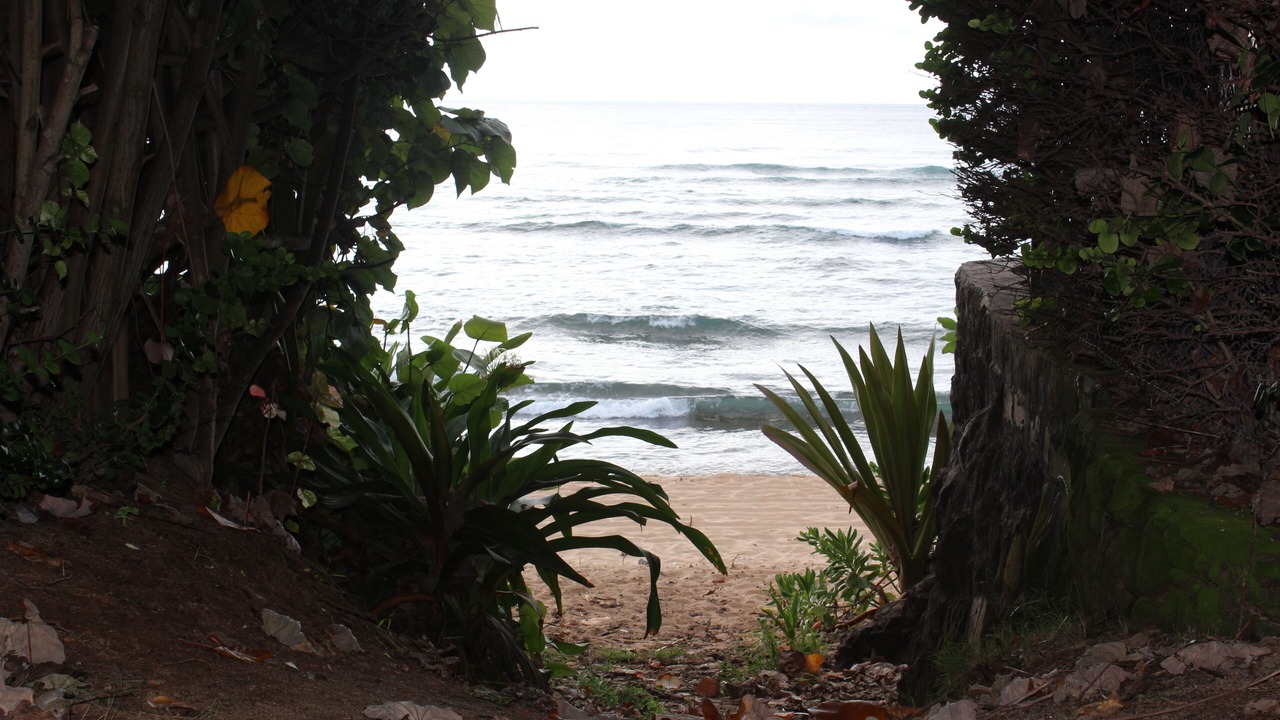 Photo of Others in Pupukea