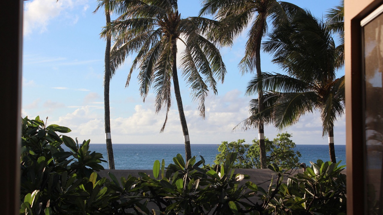 Photo of Outdoor in Pupukea