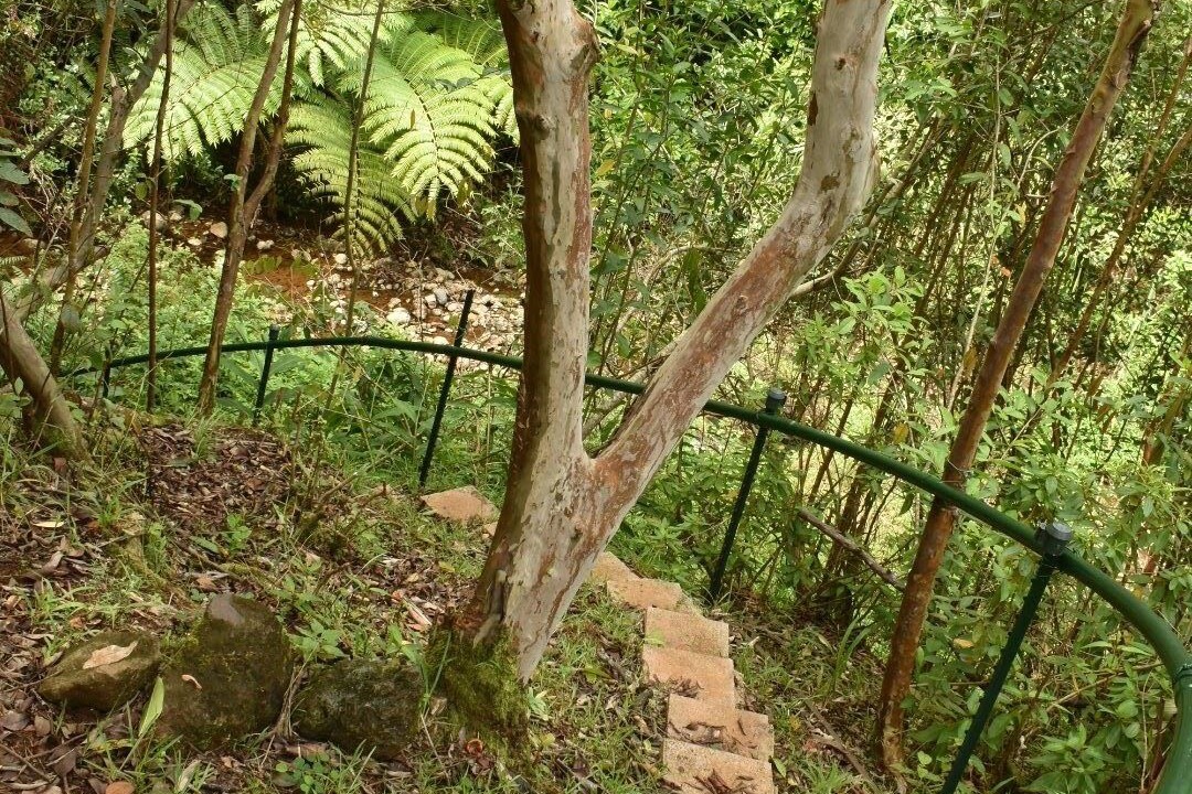 Photo of Outdoor in Pepeekeo