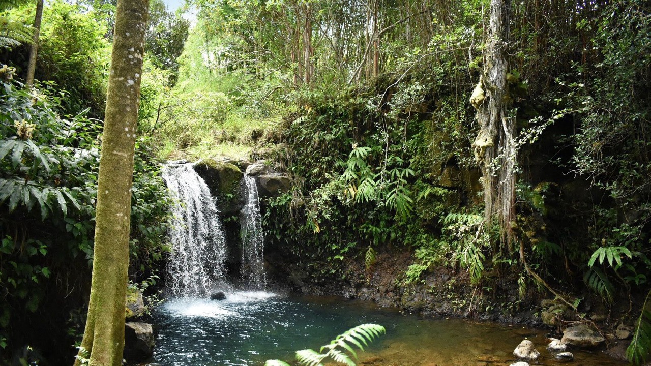 Photo of Outdoor in Pepeekeo