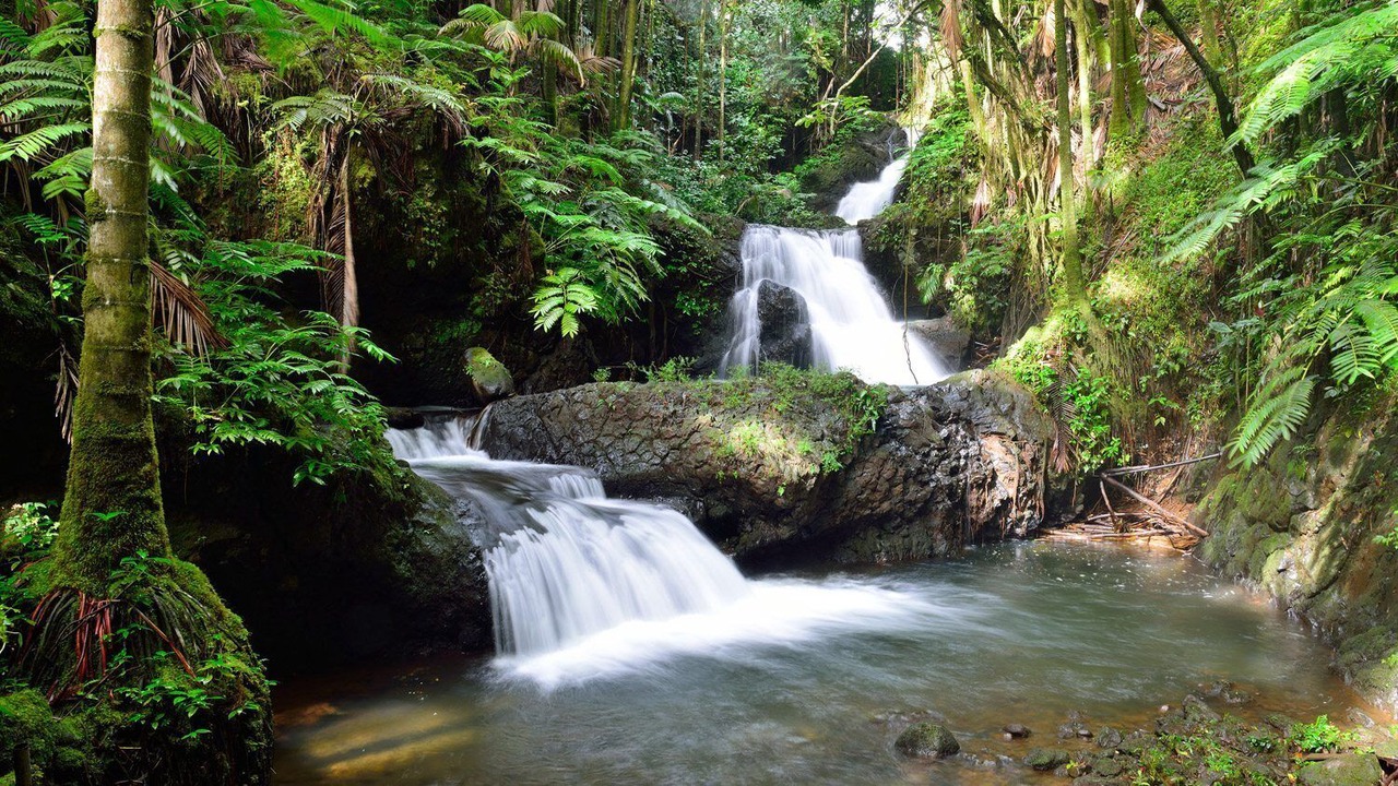 Photo of Outdoor in Pepeekeo