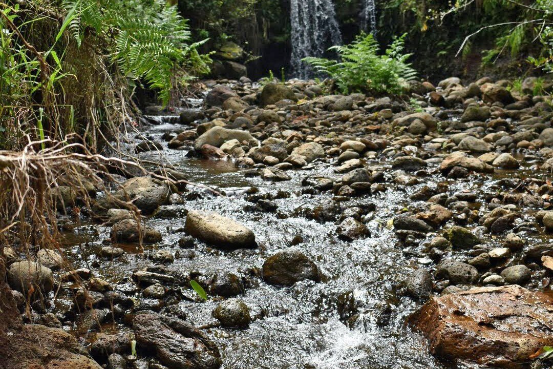 Photo of Outdoor in Pepeekeo
