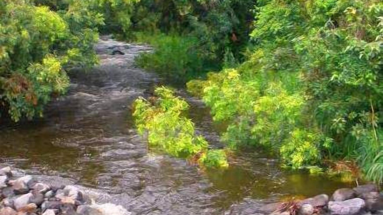 Photo of Outdoor in Puuiki